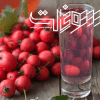 عرق کیالک