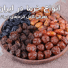 انواع خرما