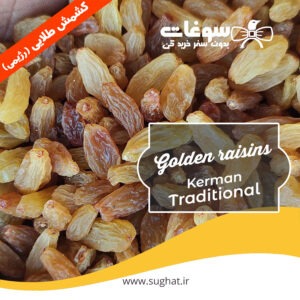 قیمت و خرید کشمش خانگی