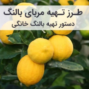طرز تهیه مربای بالنگ خانگی