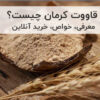 قاووت کرمان