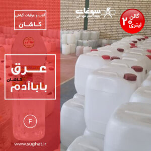 عرق بابا آدم