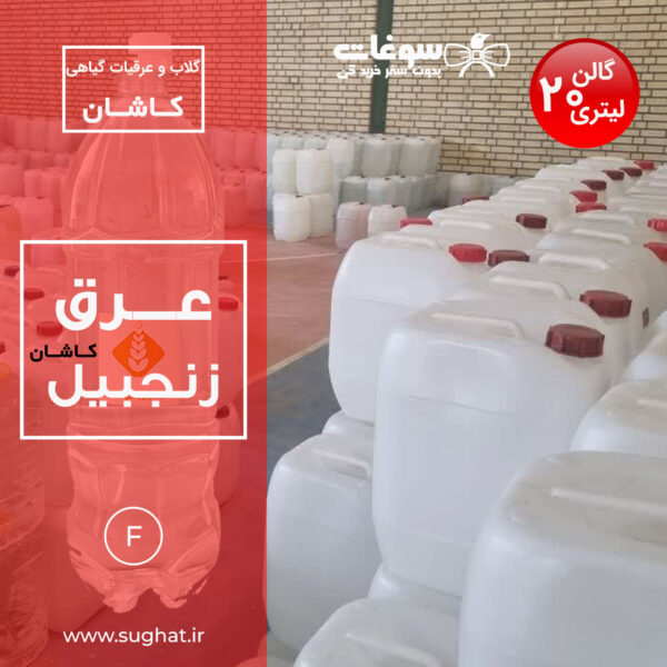 عرق زنجبیل