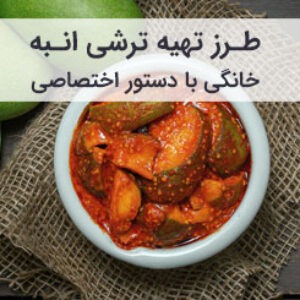 طرز تهیه ترشی انبه
