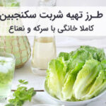 طرز تهیه شربت سکنجبین با سرکه و نعناع