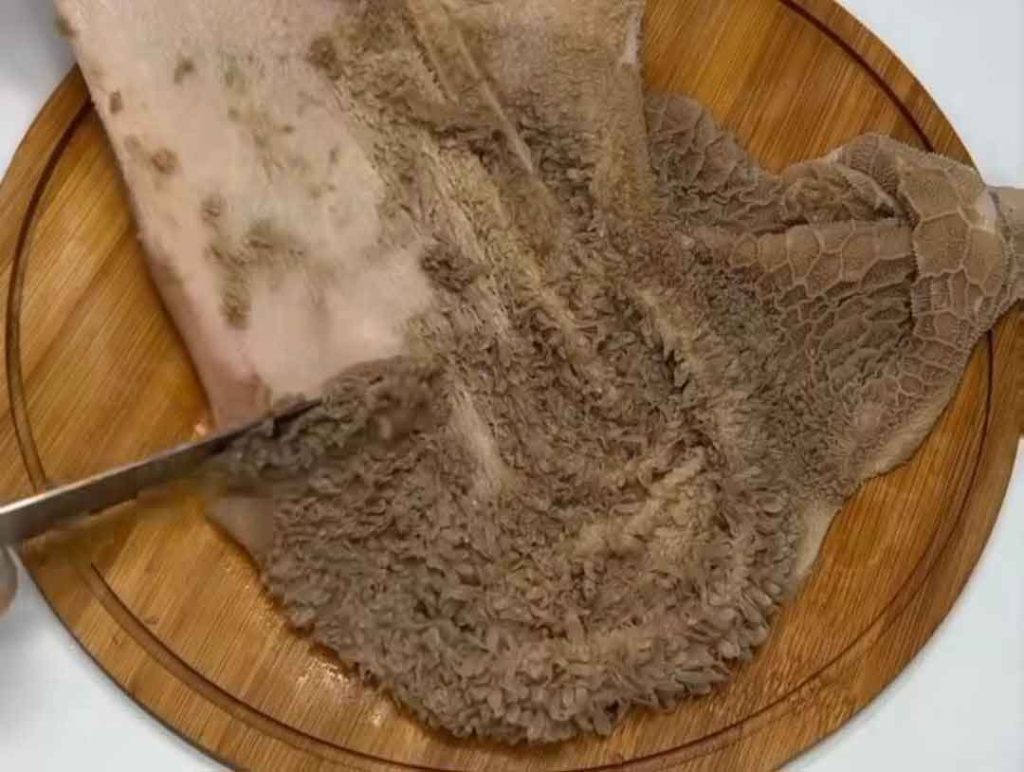 آماده سازی سیرابی