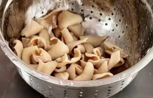 طرز تهیه سیرابی 4 آماده سازی سیرابی