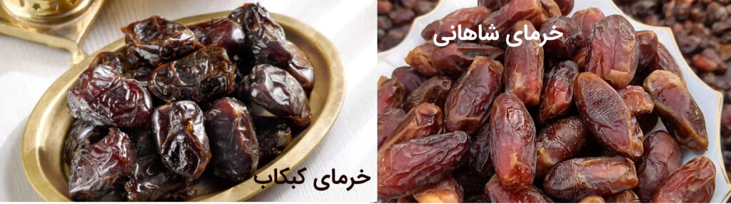خرمای بوشهر
