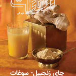 پودر زنجبیل