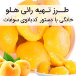 طرز تهیه رانی هلو