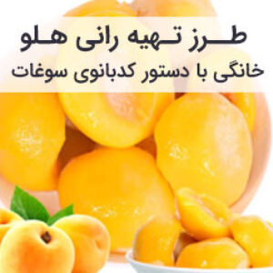 طرز تهیه رانی هلو