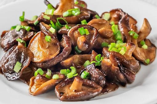 غذا با قارچ بدون گوشت