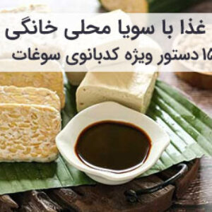 آموزش و طرز تهیه 15 غذای سریع و خوشمزه با سویا